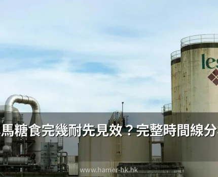 悍馬糖食完幾耐先見效？完整時間線分析