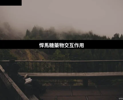 食緊血壓藥或糖尿病藥，仲可以食悍馬糖嗎？藥物交互作用風險一次講清